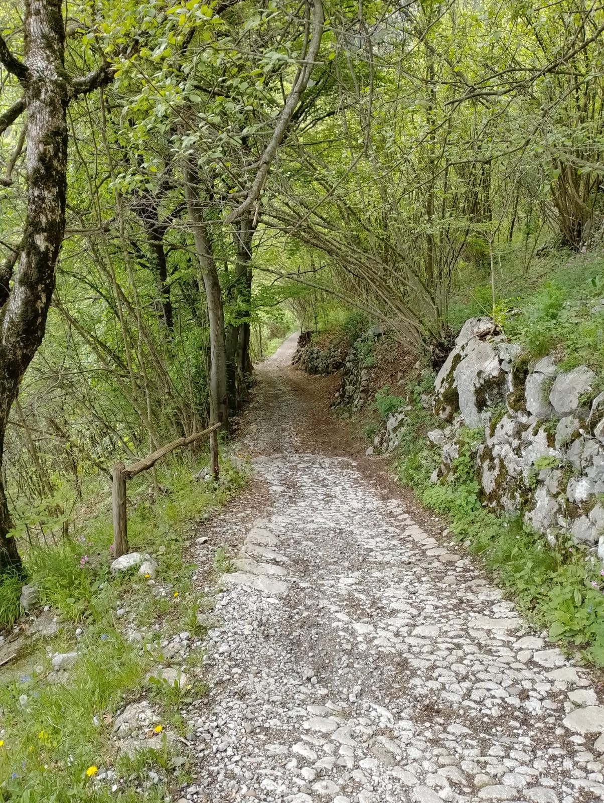 Immagine della Strada della Sella
